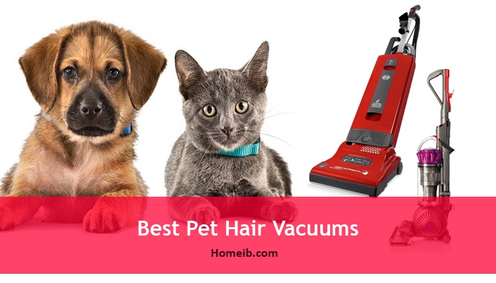Best Pet Hair Vacuums