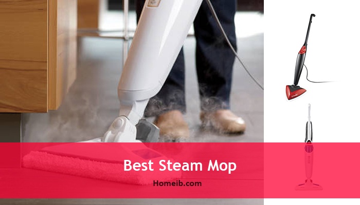 Best Steam Mop