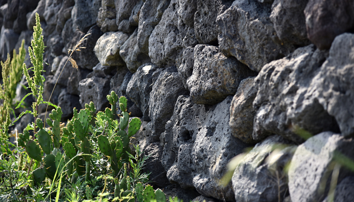 Basalt Rocks